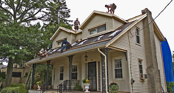 Best Roofing Contractor Near Me  in Mshall, AR