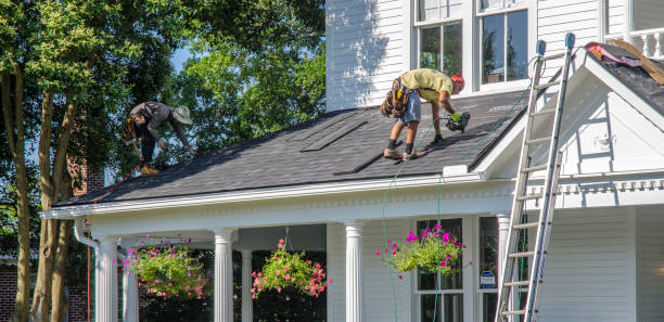 Best Roof Maintenance Services  in Mshall, AR