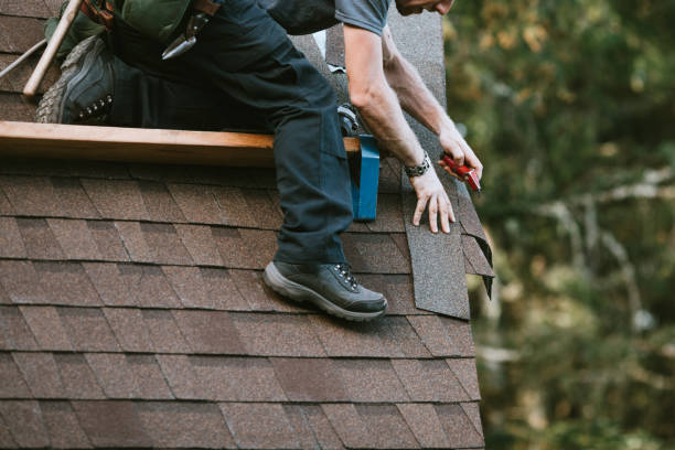 Best Roof Gutter Cleaning  in Mshall, AR